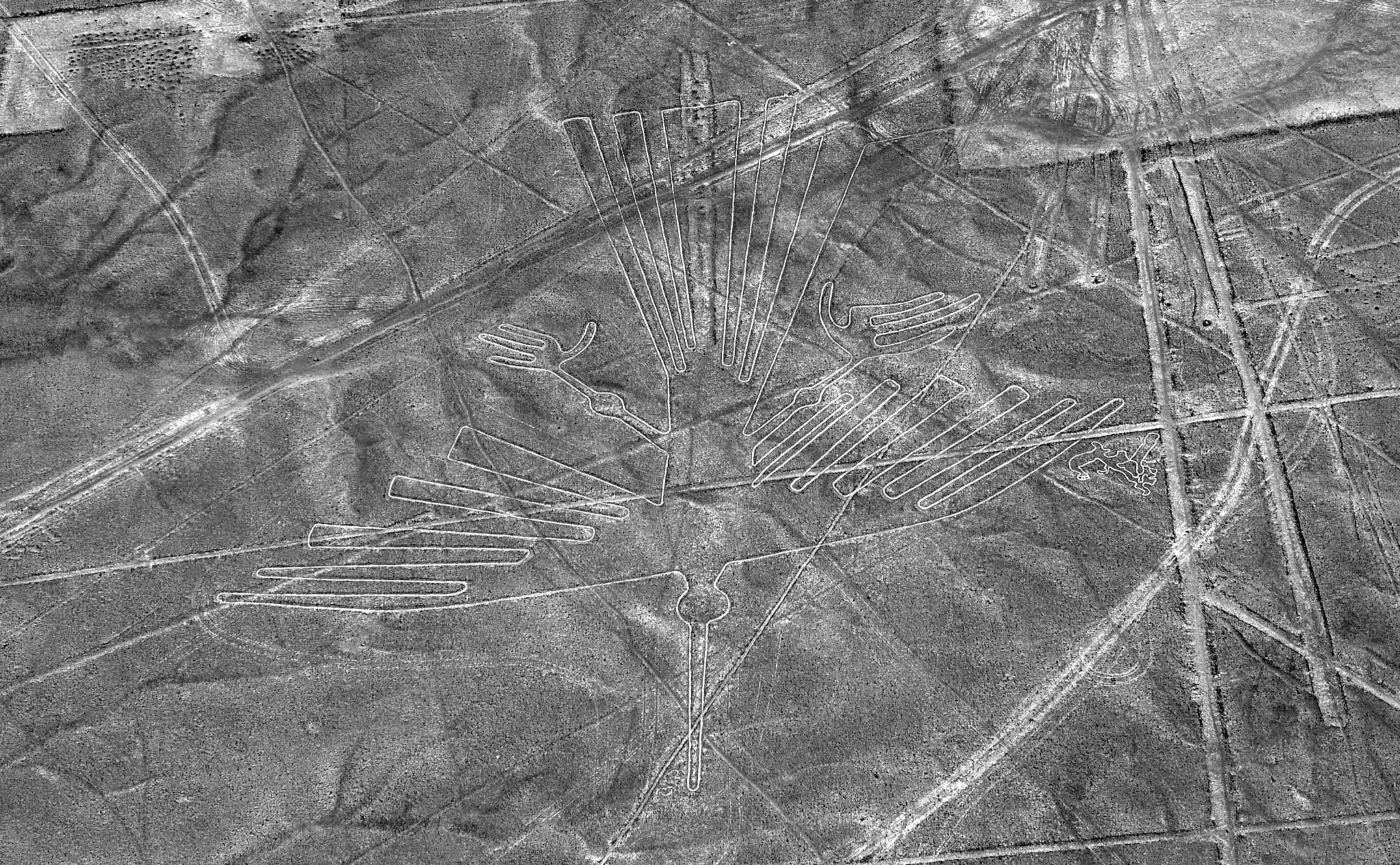 20200305 331 [페루] 나스카 라인